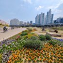 충훈공원 옆 이미지