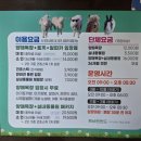 휘바핀란드위드플레이정글 이미지