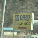 음미바베큐 | 뜰애향 바베큐 후기 / 청주 야외 바베큐