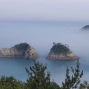 정직한사람들 이미지