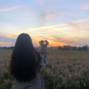 순천만습지 이미지