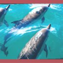 재활나라 이미지