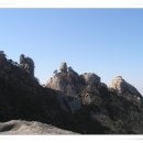 그리더 Daum카페