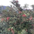 동강공인중개사사무소 이미지