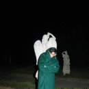 달빛아래 이미지