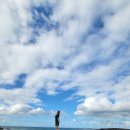 해일월 2호점 이미지