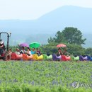 박지호농장 이미지