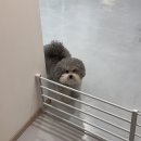 이천동대봉상가1 | 대구 남구 이천동 “르블랑” 뒷목왁싱 후기