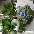 가정요리(야) 이미지