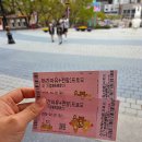 대구 이월드 벚꽃축제 비오는날 야간 방문 후기