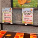 제주위미농업협동조합하례지점 | [제주도] 하나로마트 회, 귤(천혜향, 한라봉 등) 구매 후기 (+벚꽃 먼저 피는 곳)