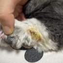 유스동물병원 이미지