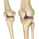 운동케어센터 이미지