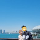 해운대 석각 모조품 | 부산 해운대 포장마차촌부터 해운대해수욕장, 동백섬까지 산책