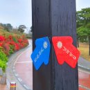 선소로4 이미지