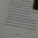 남쪽바람