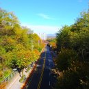 오현로20길 이미지