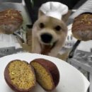 세븐일레븐 양지포레스토리점 | 무슨소리야 지금 2022년인데?