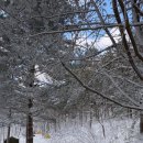 (주) 천지관광 | 동계 백패킹명소 강원도 태기산 폭설(1월둘째주)후기