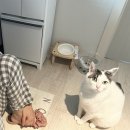 노티드바이제이 네이버블로그