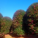 남원읍-7 이미지