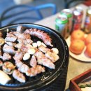 요망진브릭 이미지