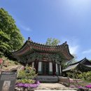 스테이종이와나무