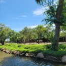 그늘과 빛의 기억  | 다낭 남호이안 빈원더스 리버사파리존 빈펄랜드 동물원 VIP 할인 예약 방문 후기