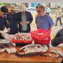 대진항(문어축제장) 이미지