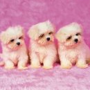 지하도 화장실 이미지