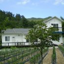 삼산4리 이미지