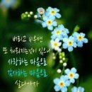 비우고 이미지
