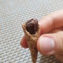까까아이스 이미지