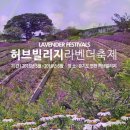 허브빌리지(파머스테이블) 이미지