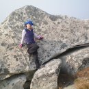 도모다찌 이미지