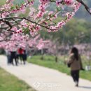 잼토리 이미지