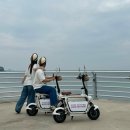 중앙전기스쿠터 | 초보도 타기 쉬운 제주도 쓩쓩렌탈샵 전기스쿠터 대여 후기 (애월점)