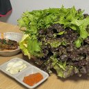 토담우렁쌈밥 | 동네주민만 아는 쌈밥 맛집 토담우렁쌈밥
