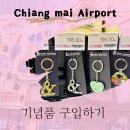 태국 여행 치앙마이 공항 면세점 기념품 구입 마그넷 키링 쇼핑 시암 마그넷