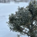 나모펜션2 이미지