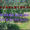 거창부동산공인중개사무소 이미지