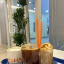 도하 | 일산 라페스타 카페 추천｜디저트 맛집 카페도하 내돈내산 후기