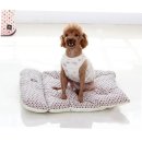 도그니엘 이미지