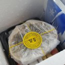 강구아이스박스 이미지