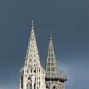 독(DOG)도 이미지