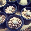 봉일농장 이미지