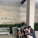 애니몰 | 올랜도 디즈니월드 1일차 매직킹덤 리얼후기｜아이동반 동선·놀이기구 총정리