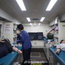 서해사랑 이미지