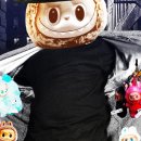 (주)플렉시케어코리아 이미지