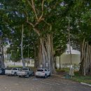 하와이 이올라니 궁전(Iolani Palace) 이미지